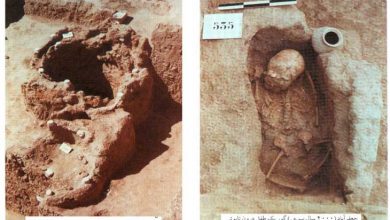 کاوشگر دولفوس