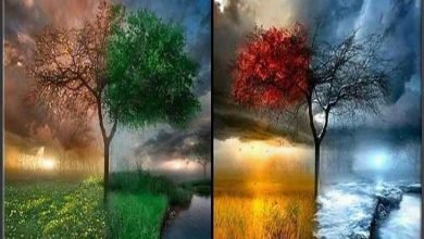 کدام فصل از سال را دوست دارید؟