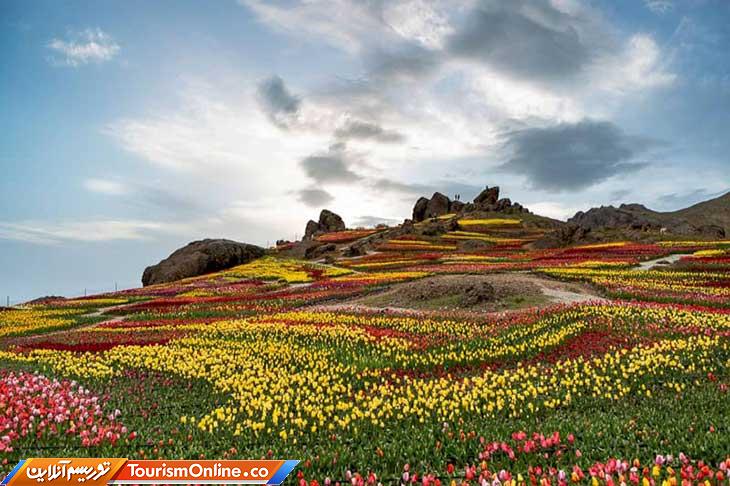 سرزمین لاله‌ها البرز