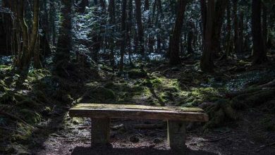 مکان های ترسناک و مخوف در جهان