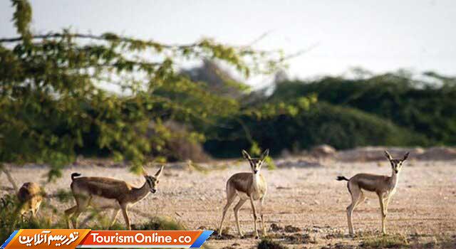 میراث فرهنگی