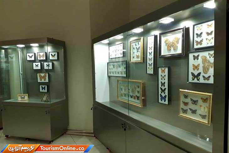 موزههای دانشگاهی