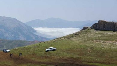 مرز بین جنگل و کویر