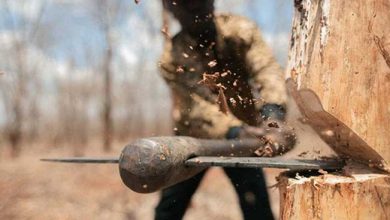 سرطان درختان پارک ملت