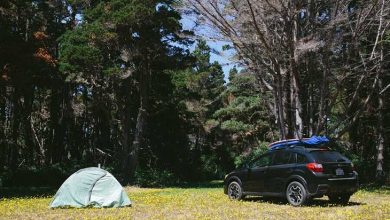 کمپینگ زدن در دوران کرونا