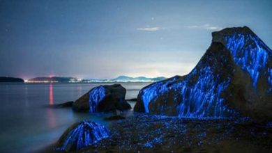 سنگ های گریان ژاپن