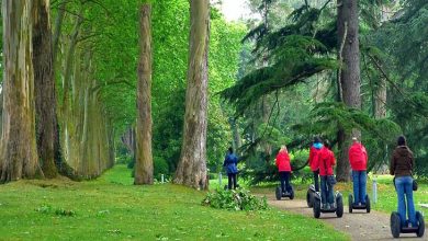 شورای جهانی سفر