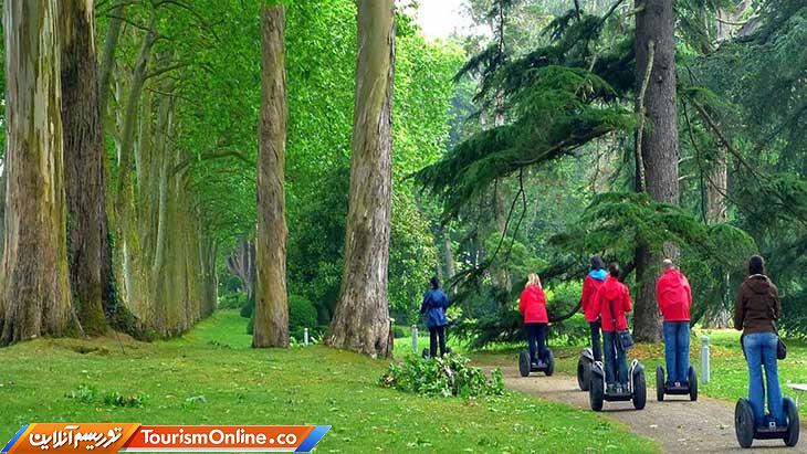 شورای جهانی سفر