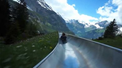 سورتمه سواری