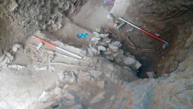 کشف اسکلت تپه اشرف