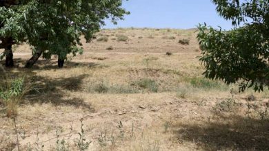 چشمه‌باغ لرستان