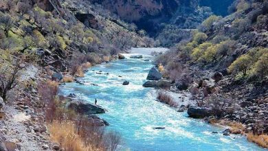 رودخانه بشار یاسوج