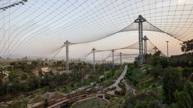 باغ پرندگان تهران لویزان