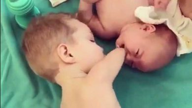 ناب ترین تصویر انسانیت