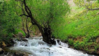 سراب فارسبان