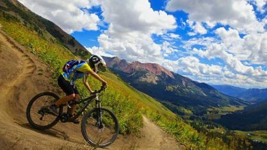 گردشگری و ورزش