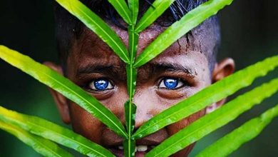 قبیله چشم آبی