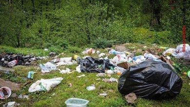 پلاستیک در طبیعت