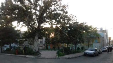 کارخانه برق قزوین