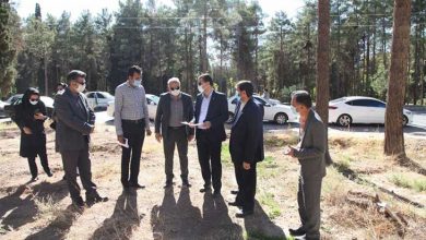 شهدای کرمان