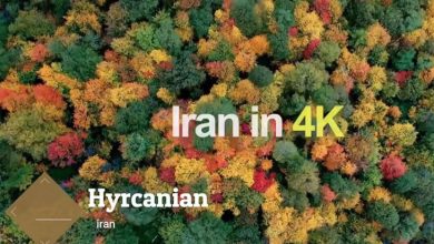 پاییزهای دیدنی در دنیا