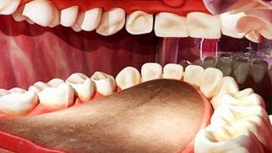 سفر به بدن انسان