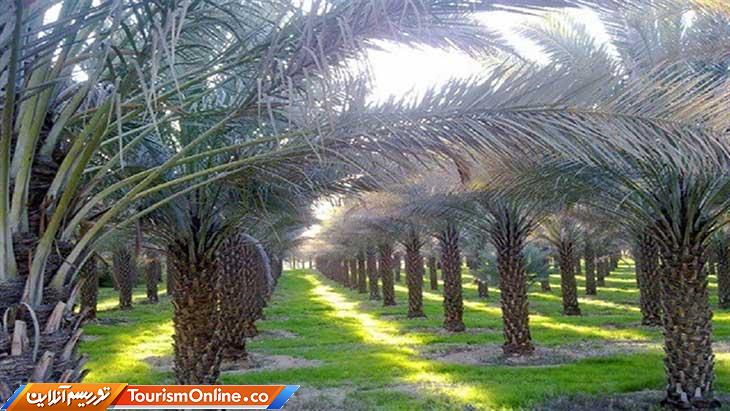 دوران هخامنشیان بوشهر