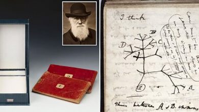 کتابخانه کمبریج