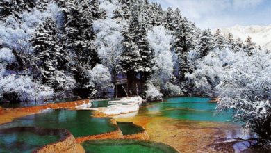 عجایب طبیعت