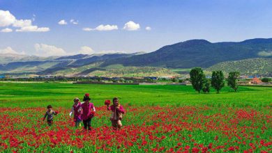 کهگیلویه و بویراحمد