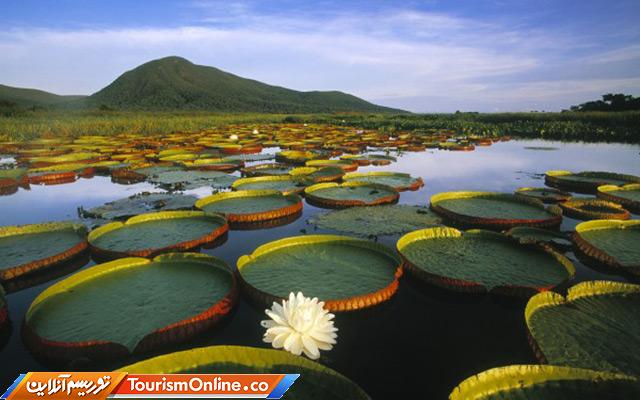 عجایب طبیعت