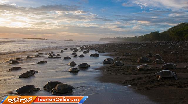 عجایب طبیعت