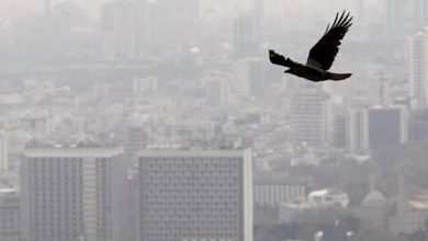 آلودگی تهران