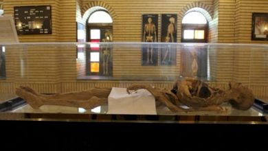 آثار منقول ملی