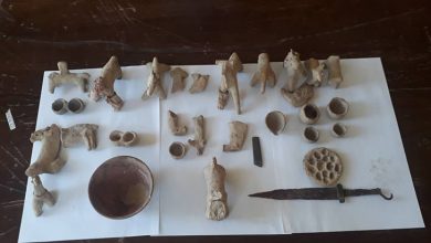 شی تاریخی کرمان