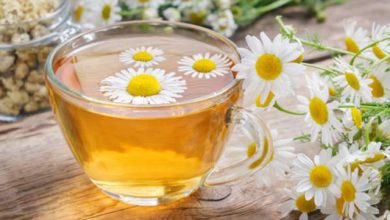 چای بابونه