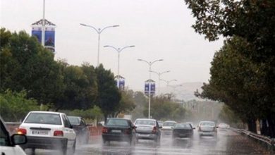 بارش باران در جاده