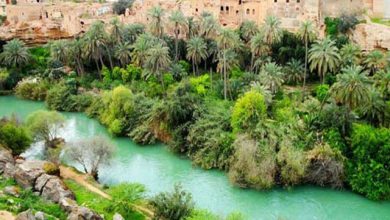 شهرستان باوی خوزستان