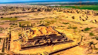 کارخانه قند چغازنبیل