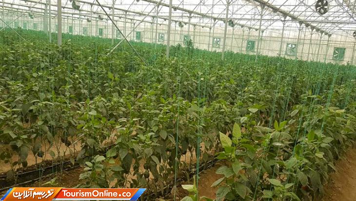 گردشگری کشاورزی