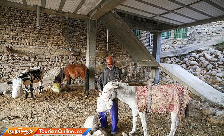 روستای فارسیان
