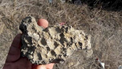 پارینه‌سنگی