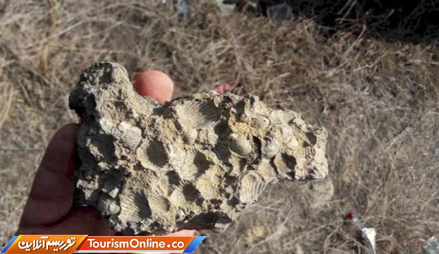 پارینهسنگی