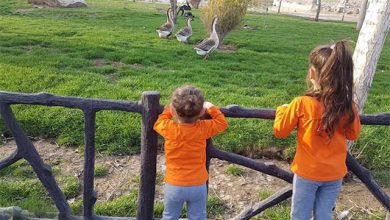 باغ پرندگان صفادشت