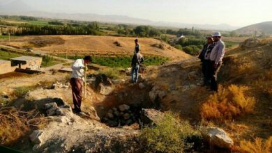 شهرستان شوط