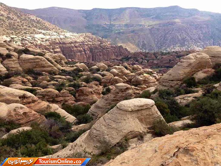 ذخیره گاه دانا