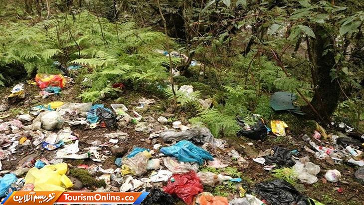 نامهربانی با جنگل