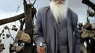 باغ سنگی سیرجان