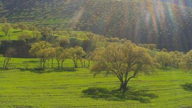 گردشگری کشاورزی قروه