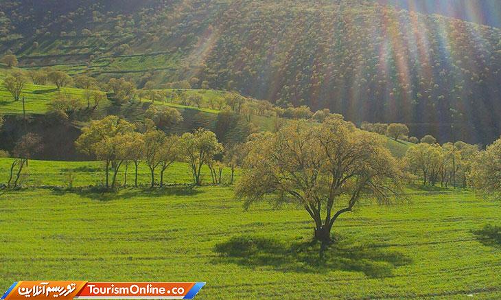 گردشگری کشاورزی قروه